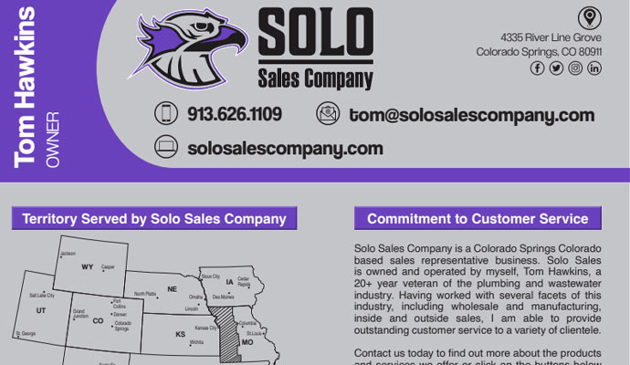 Solo sales company detail